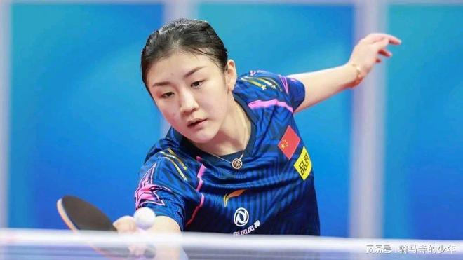 提供了一场 提供了一场